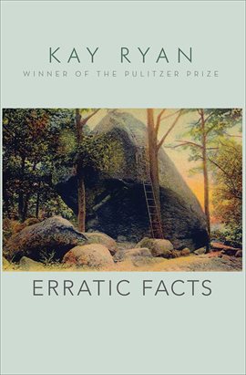 Cover image for Erratic Facts