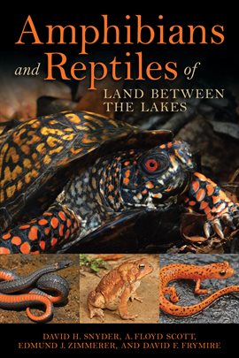 Cover image for Amphibians and Reptiles of Land Between the Lakes