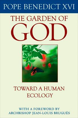 Cover image for The Garden of God