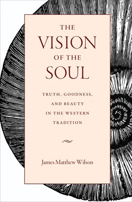 Cover image for The Vision of the Soul