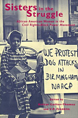Cover image for Sisters in the Struggle