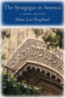 Imagen de portada para The Synagogue in America
