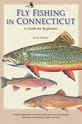 Imagen de portada para Fly Fishing in Connecticut