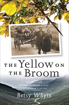 Cover image for The Yellow on the Broom
