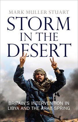 Cover image for Storm in the Desert