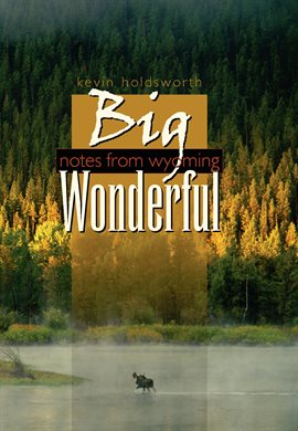 Cover image for Big Wonderful