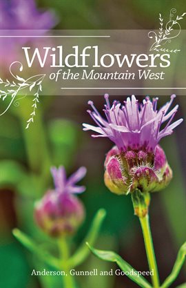 Cover image for Wildflowers of the Mountain West