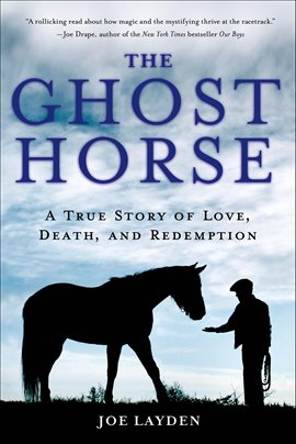 Imagen de portada para The Ghost Horse