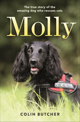 Cover image for Molly