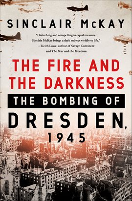 Cover image for The Fire and the Darkness