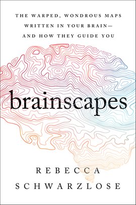 Cover image for Brainscapes