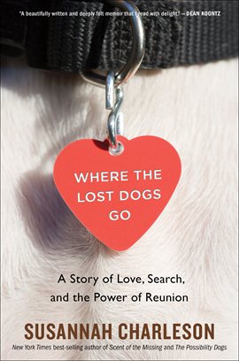 Cover image for Where the Lost Dogs Go