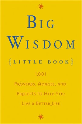 Cover image for Big Wisdom (Little Book)
