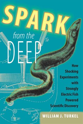 Cover image for Spark from the Deep