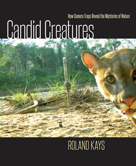 Cover image for Candid Creatures