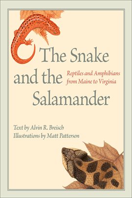Cover image for The Snake and the Salamander