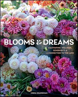Imagen de portada para Blooms & Dreams