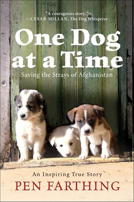 Cover image for One Dog at a Time