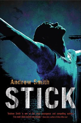 Cover image for Stick