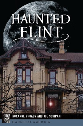 Cover image for Haunted Flint