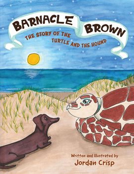 Barnacle Brown Barnacle Brown