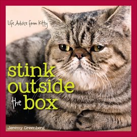 Cover image for Stink Outside the Box