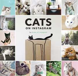 Cover image for Cats on Instagram