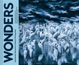 Imagen de portada para Wonders