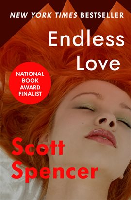Cover image for Endless Love