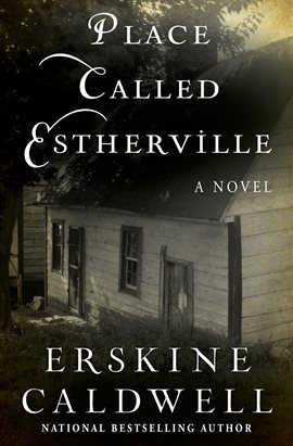Cover image for Place Called Estherville