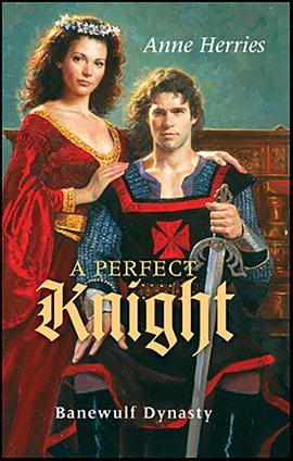 Imagen de portada para A Perfect Knight