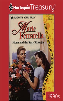 Cover image for Fionand the Sexy Stranger