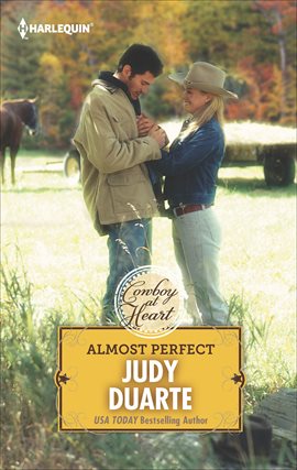 Cover image for Almost Perfect