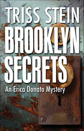 Cover image for Brooklyn Secrets