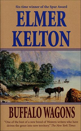 Cover image for Buffalo Wagons