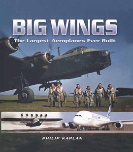 Cover image for Big Wings