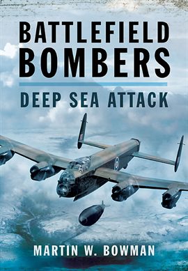 Cover image for Battlefield Bombers