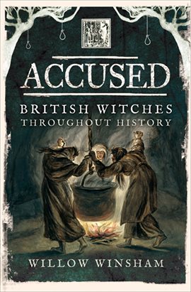 Cover image for Accused