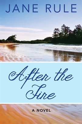 Cover image for After the Fire