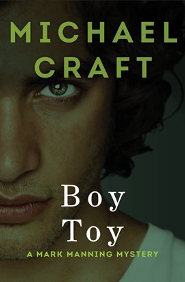 Cover image for Boy Toy