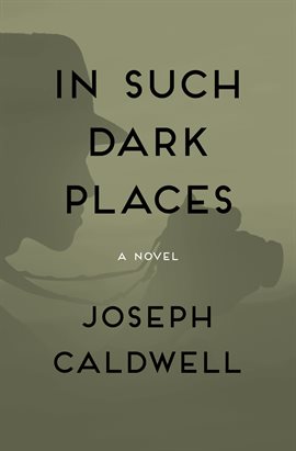 Cover image for In Such Dark Places
