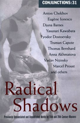 Cover image for Radical Shadows