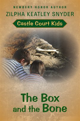 Cover image for The Box and the Bone