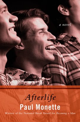 Cover image for Afterlife