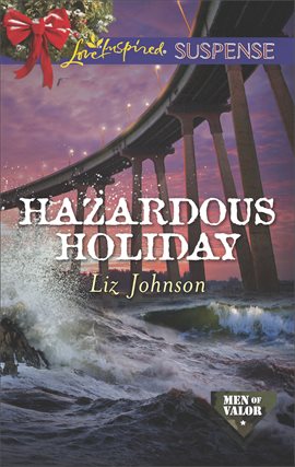 Cover image for Hazardous Holiday