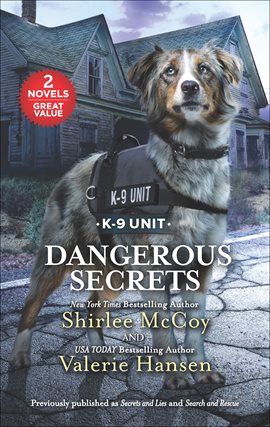 Cover image for Dangerous Secrets