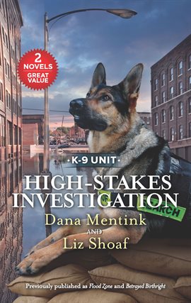Cover image for High-Stakes Investigation