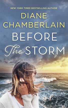 Cover image for Before the Storm