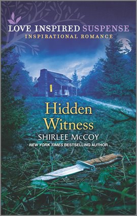 Cover image for Hidden Witness