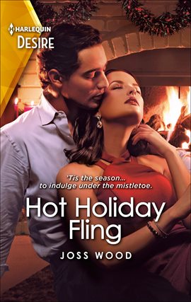 Imagen de portada para Hot Holiday Fling